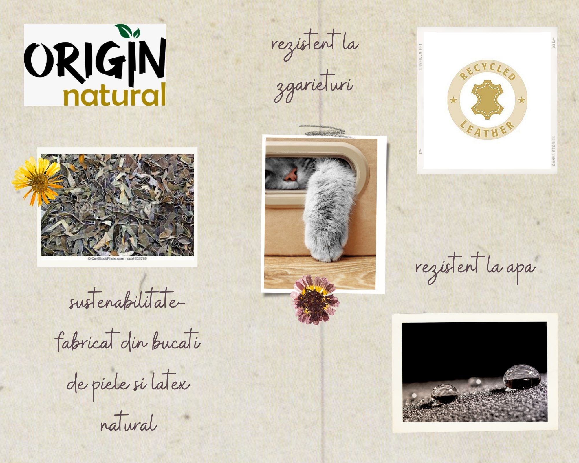 banner secundar origin 4886